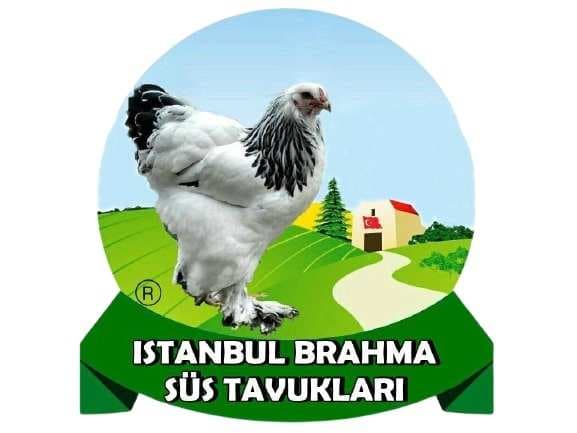 Siparişiniz için Teşekkürler