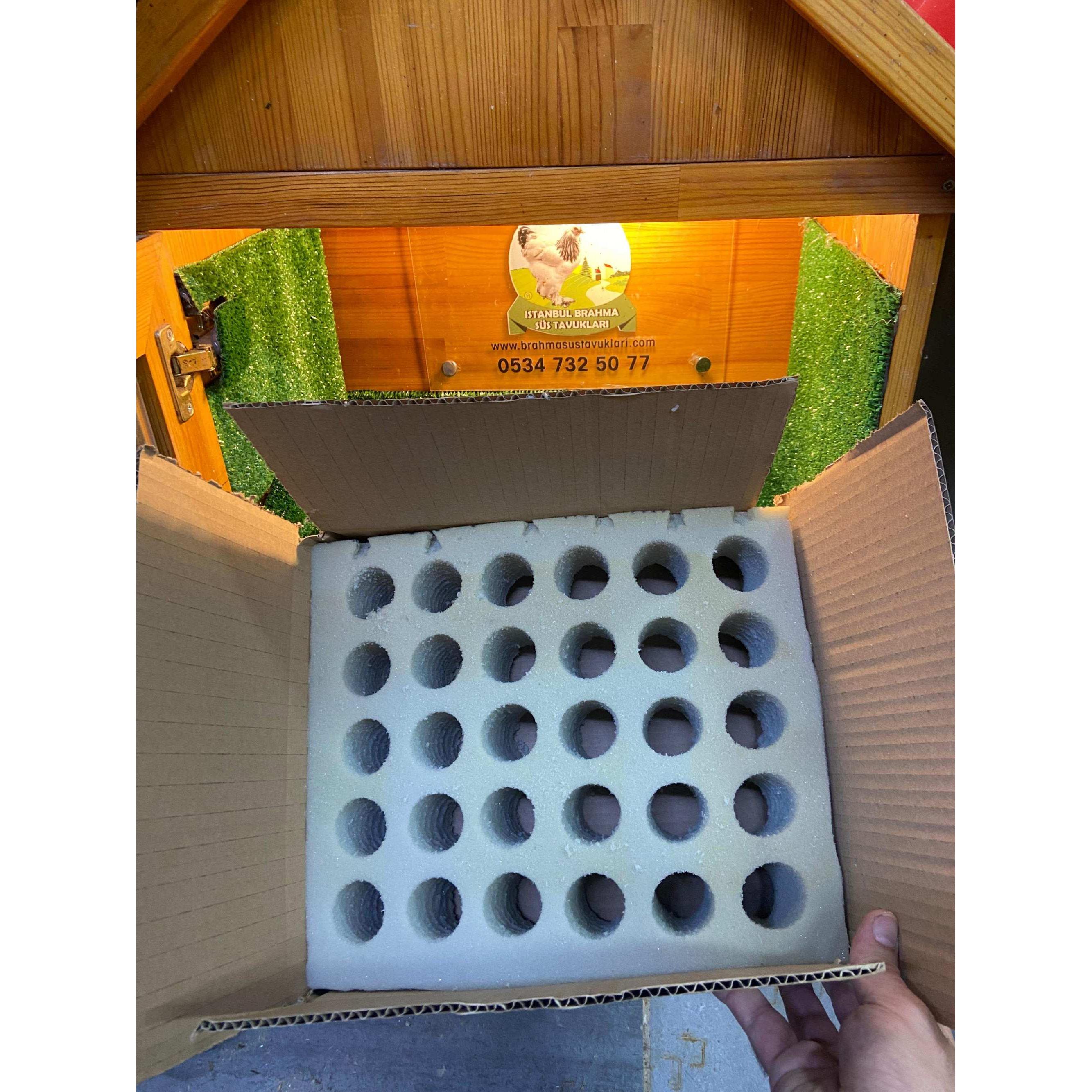 30'lu Tavuk Yumurtası Sünger Viyolü