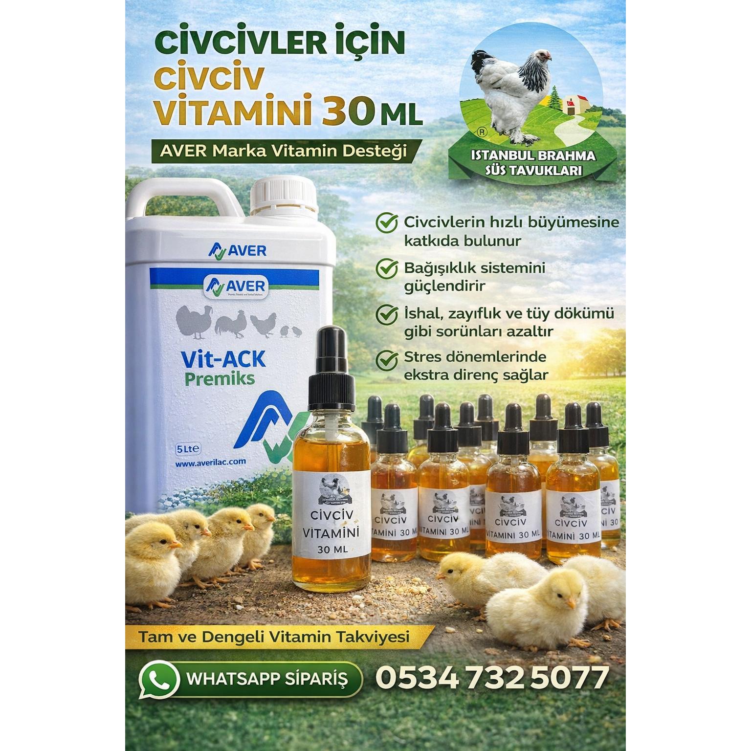 Civciv Vitamin Vitaplus