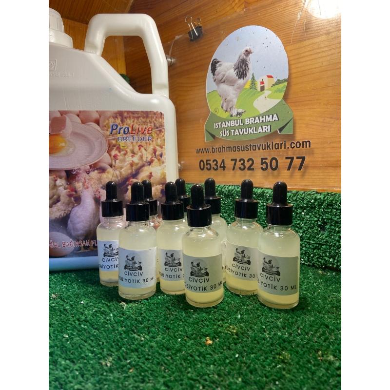 Diazyme 256 Probiyotik 100Gr