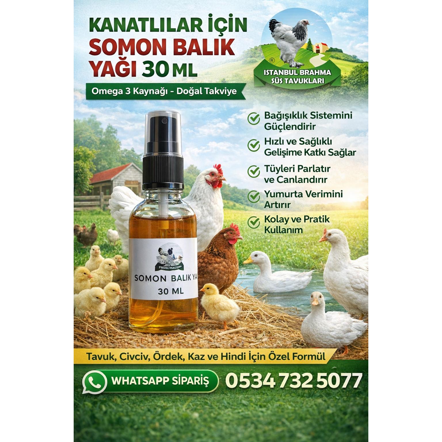 Kanatlılar ve Civcivler İçin Somon Balık Yağı 30 ML