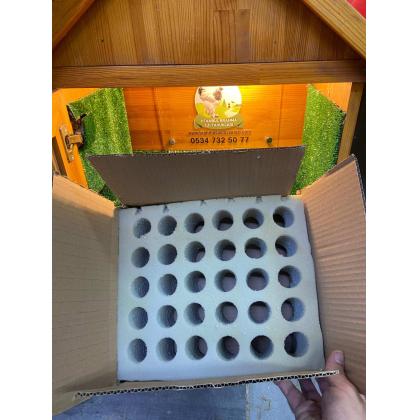 30'lu Tavuk Yumurtası Sünger Viyolü