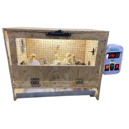 Civciv Büyütme Kafesi Küçük Boy Tam Otomatik