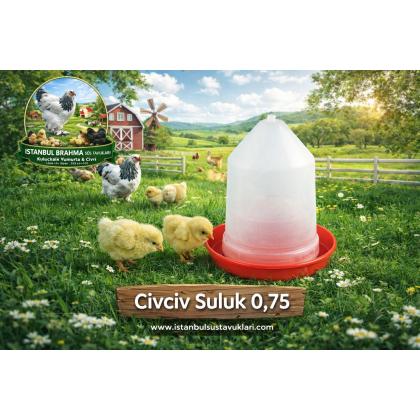 Civciv Suluk 0,75 ML