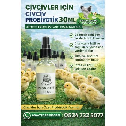 Diazyme 256 Probiyotik 100Gr